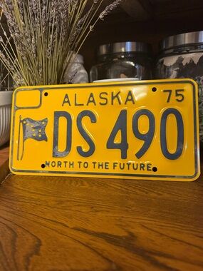 VTG 1975 Alaska License Plate “North to the Future”
